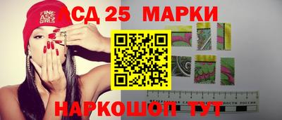 прущие грибы Краснодар