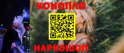 прущие грибы Краснодар
