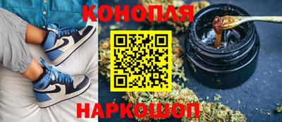 прущие грибы Краснодар