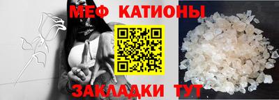 прущие грибы Краснодар